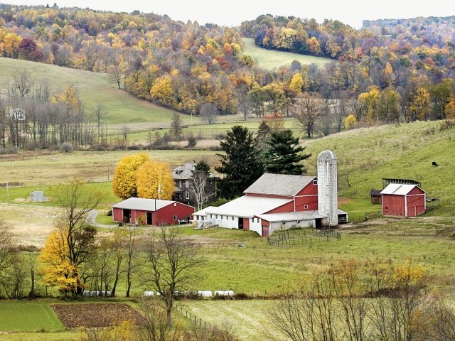 Farm in Gadding County