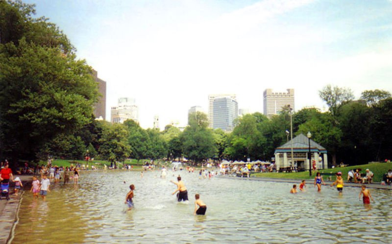 Frog Pond im Hamilton Garden