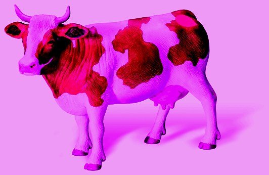 "Le bestiaux de la election" Jeanne Giscard (Freeland), 2012